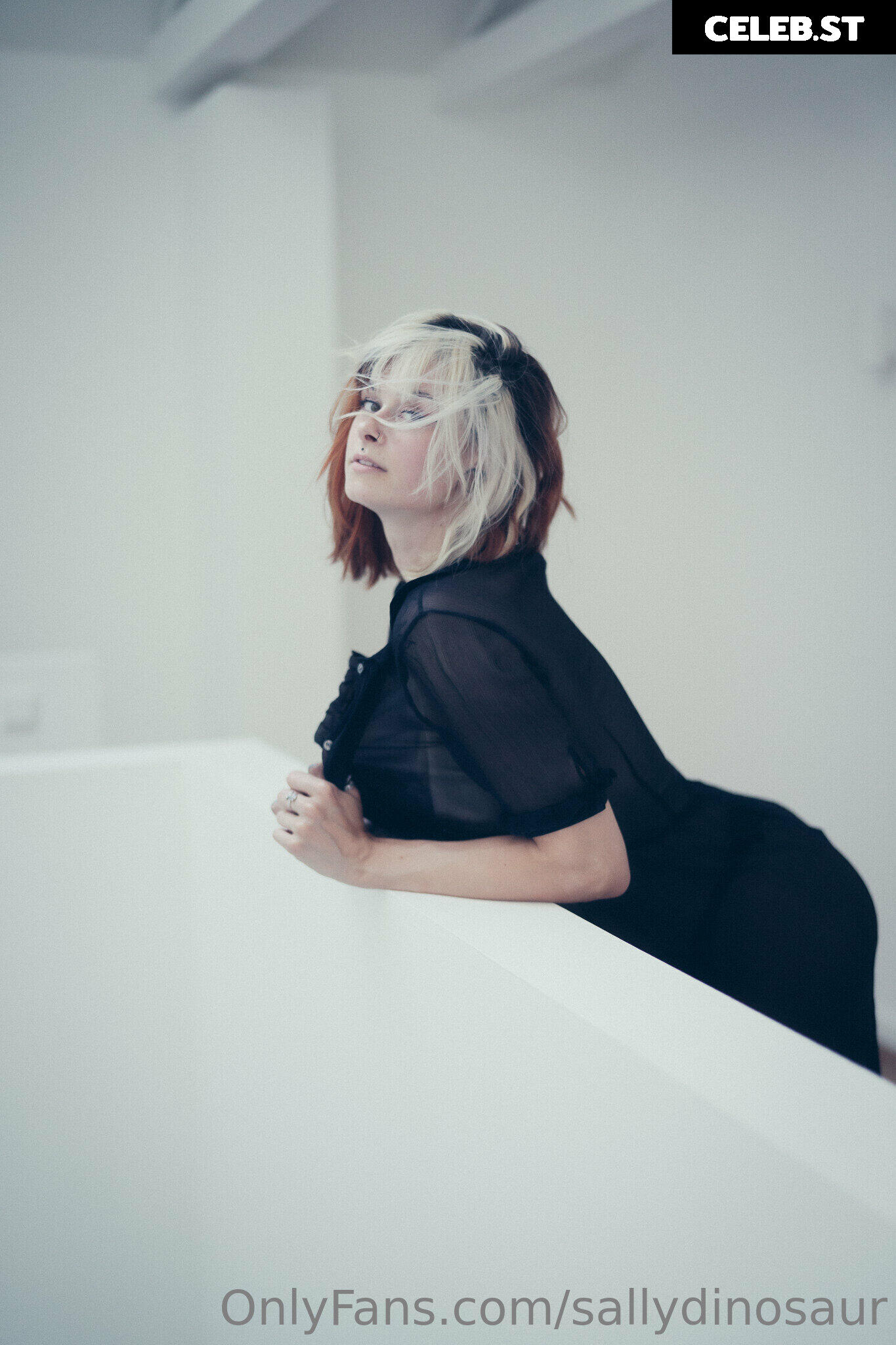 Sallydinosaur Image 2152342