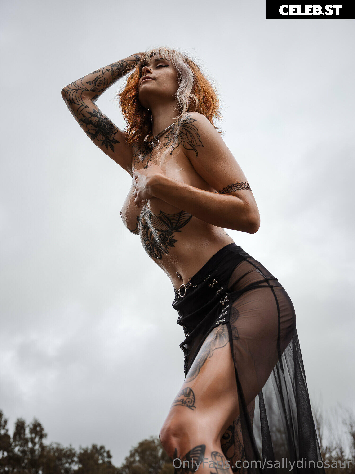 Sallydinosaur Image 2152975