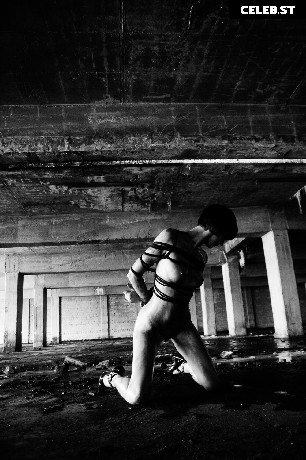 Calvato Photography - Patreon Image 2153892