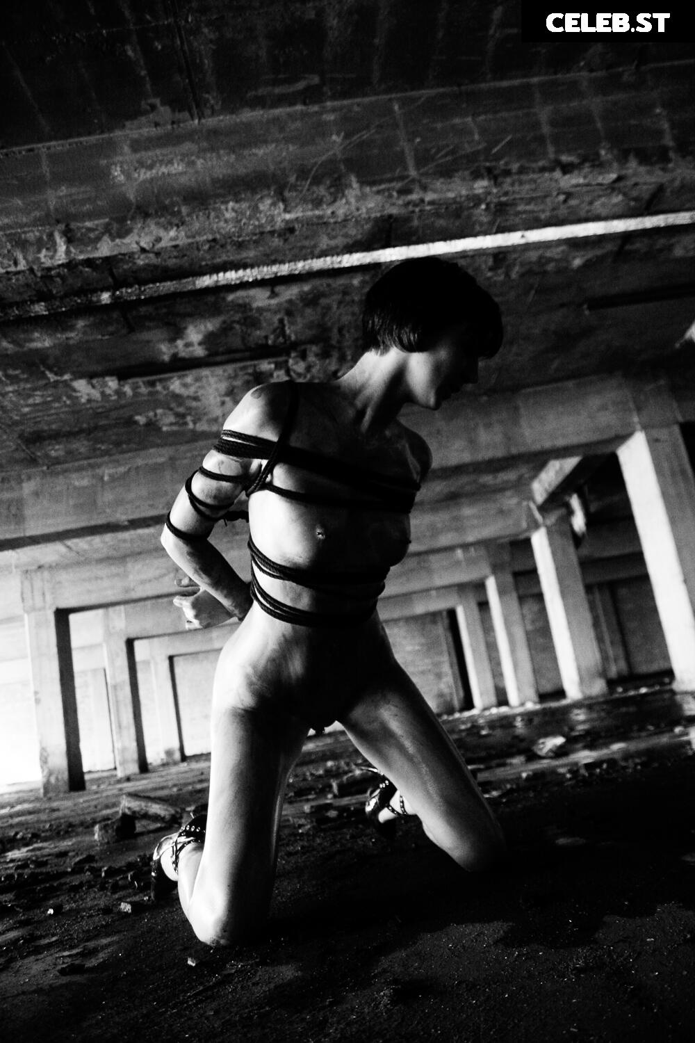 Calvato Photography - Patreon Image 2153964