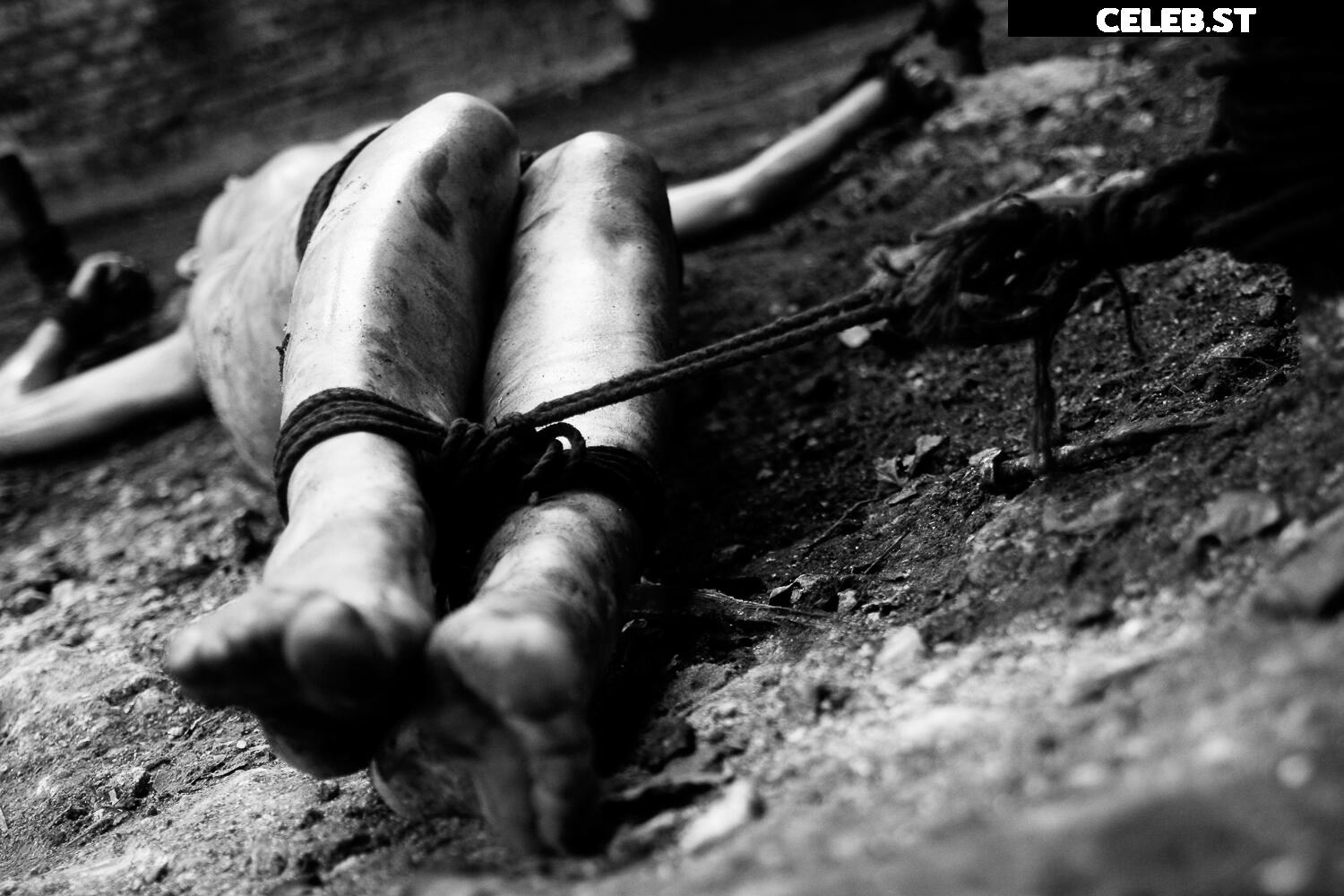 Calvato Photography - Patreon Image 2159085