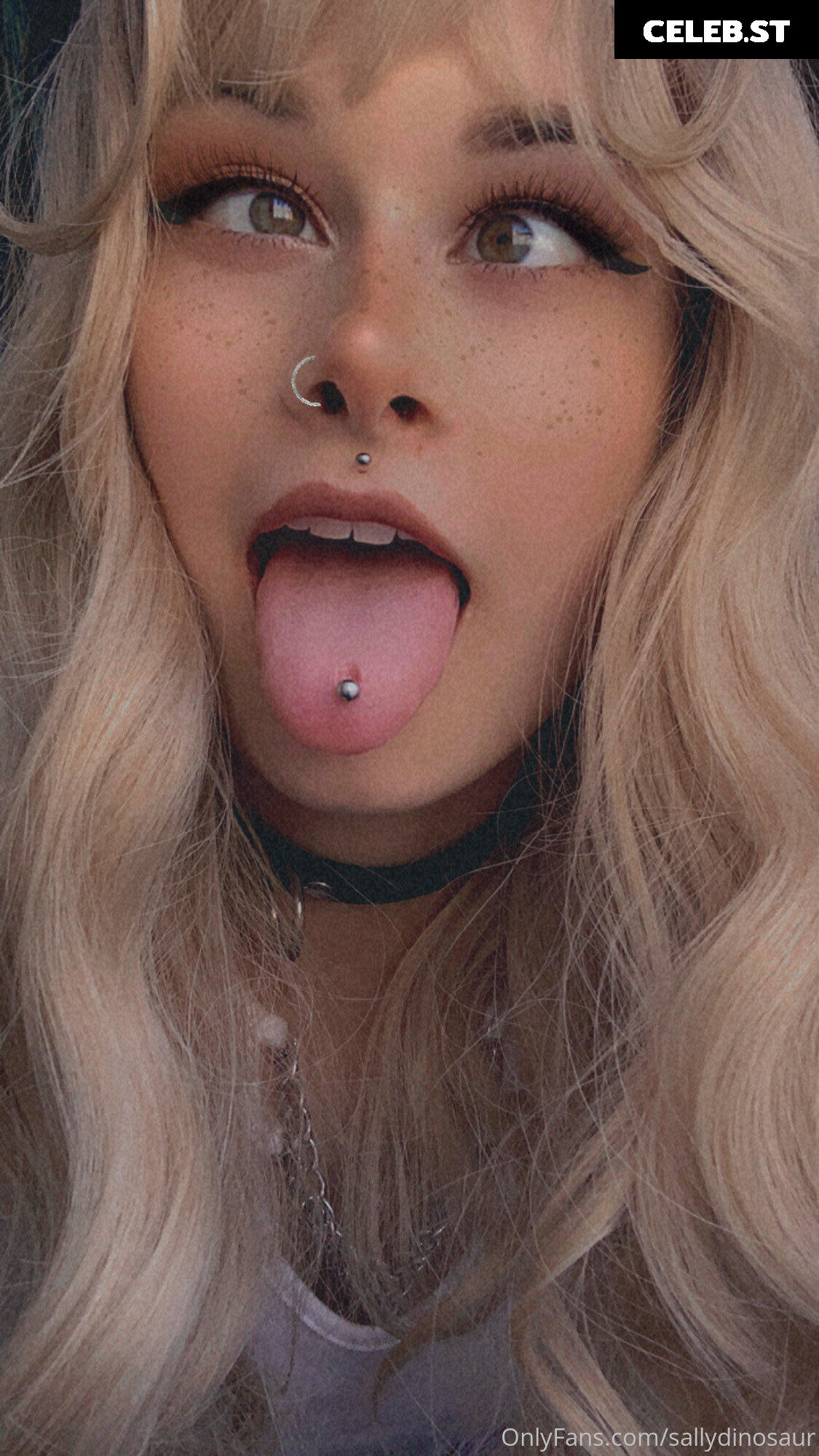 Sallydinosaur Image 2145284