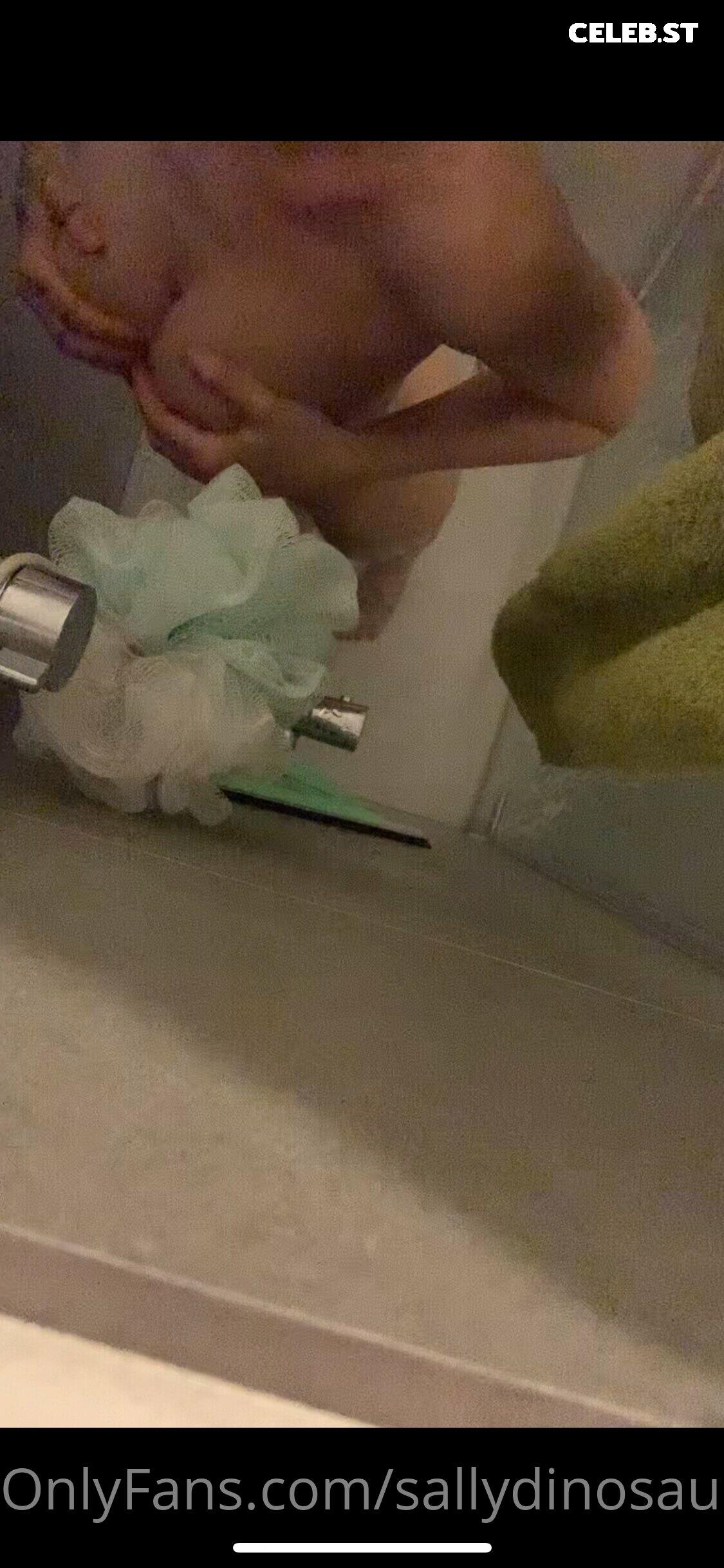 Sallydinosaur Image 2146682