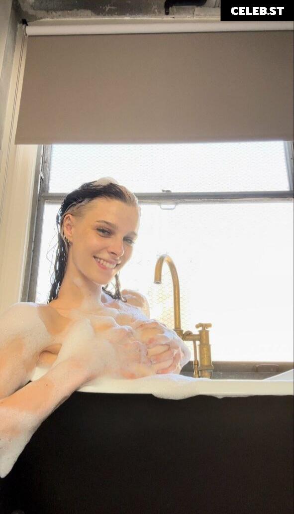 Smashedely Image 2147040