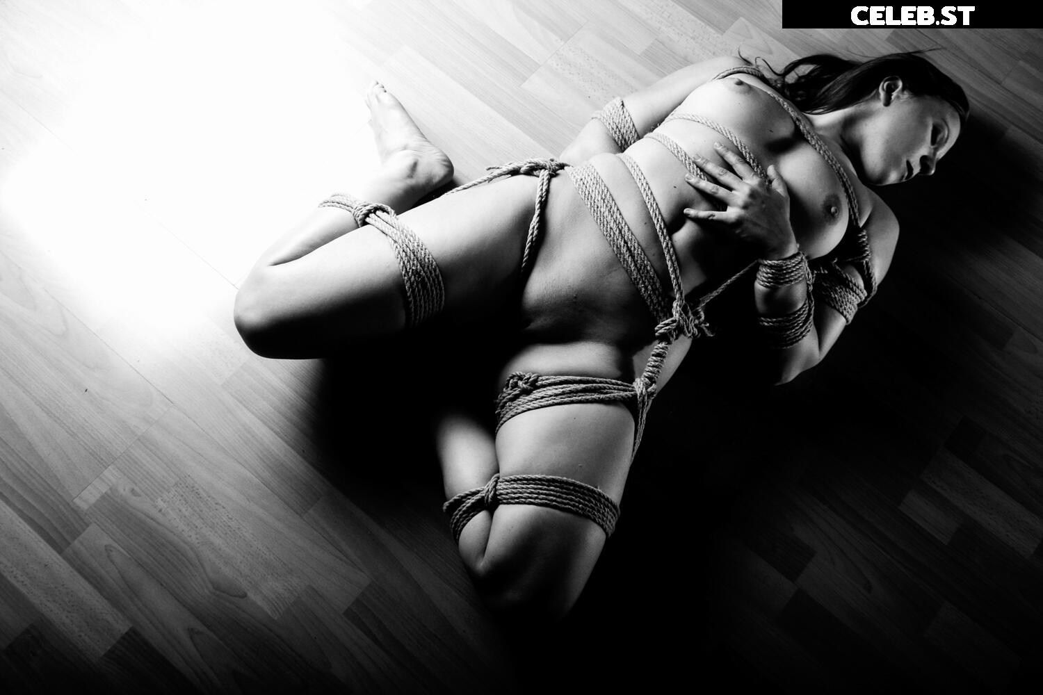 Calvato Photography - Patreon Image 2147070