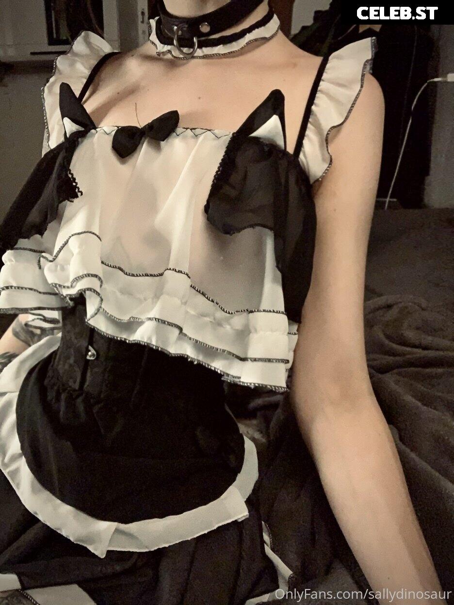 Sallydinosaur Image 2141811