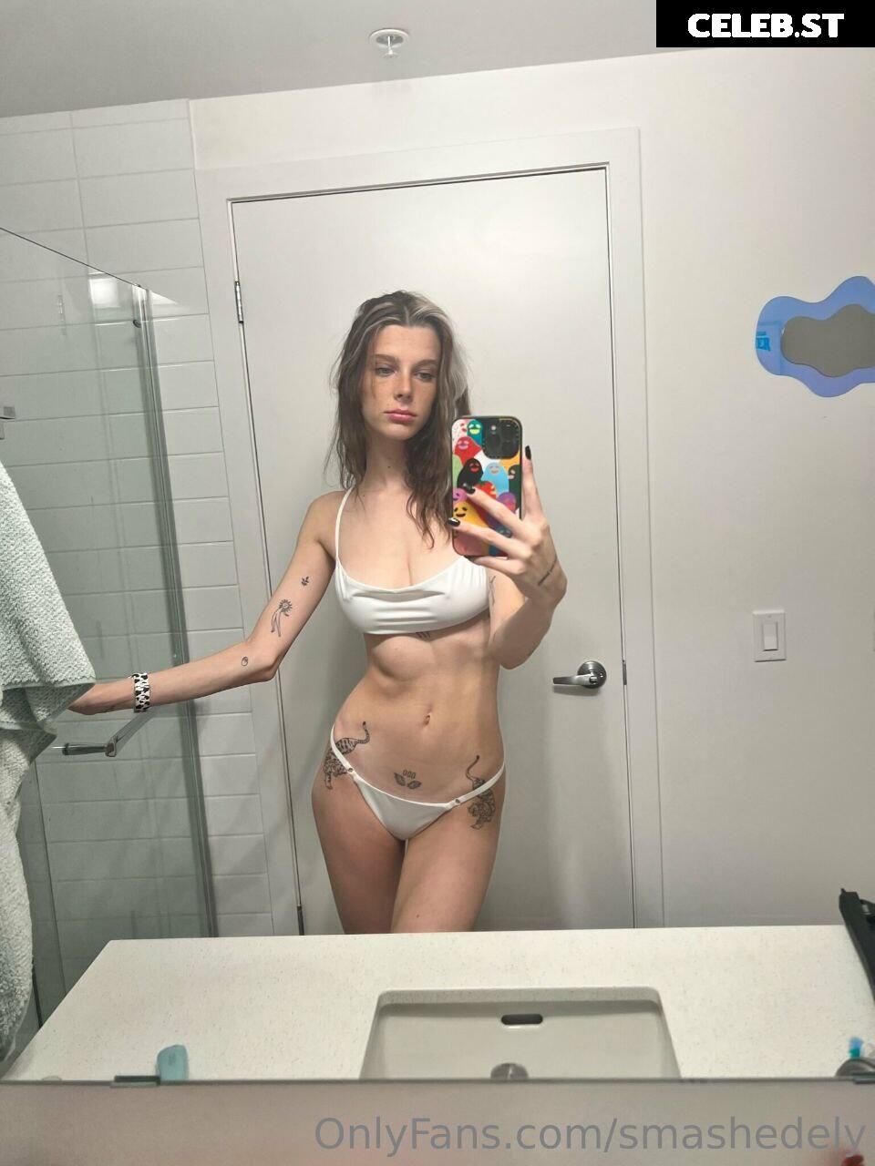 Smashedely Image 2141772