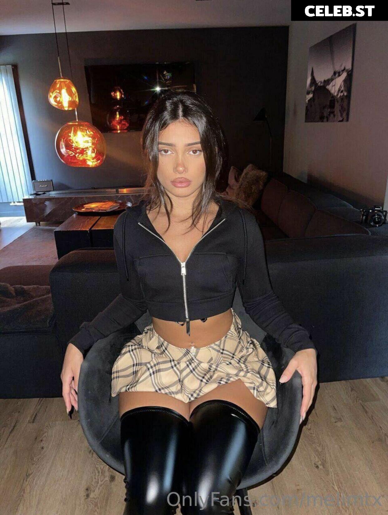 MelimTX Image 2142909