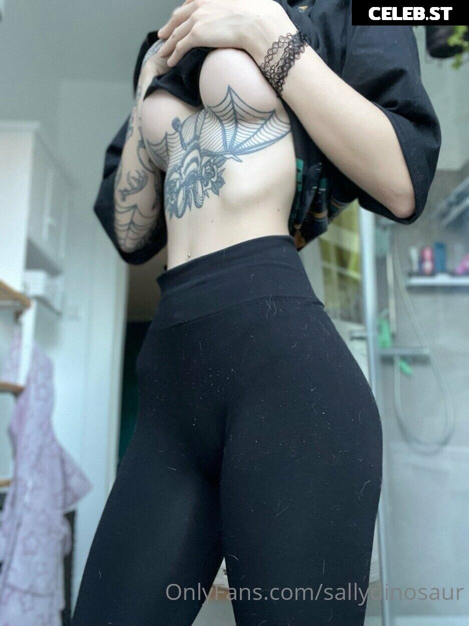 Sallydinosaur Image 2143562