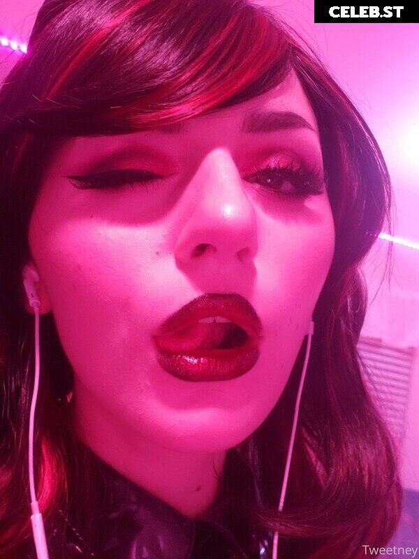 Tweetney Image 214356