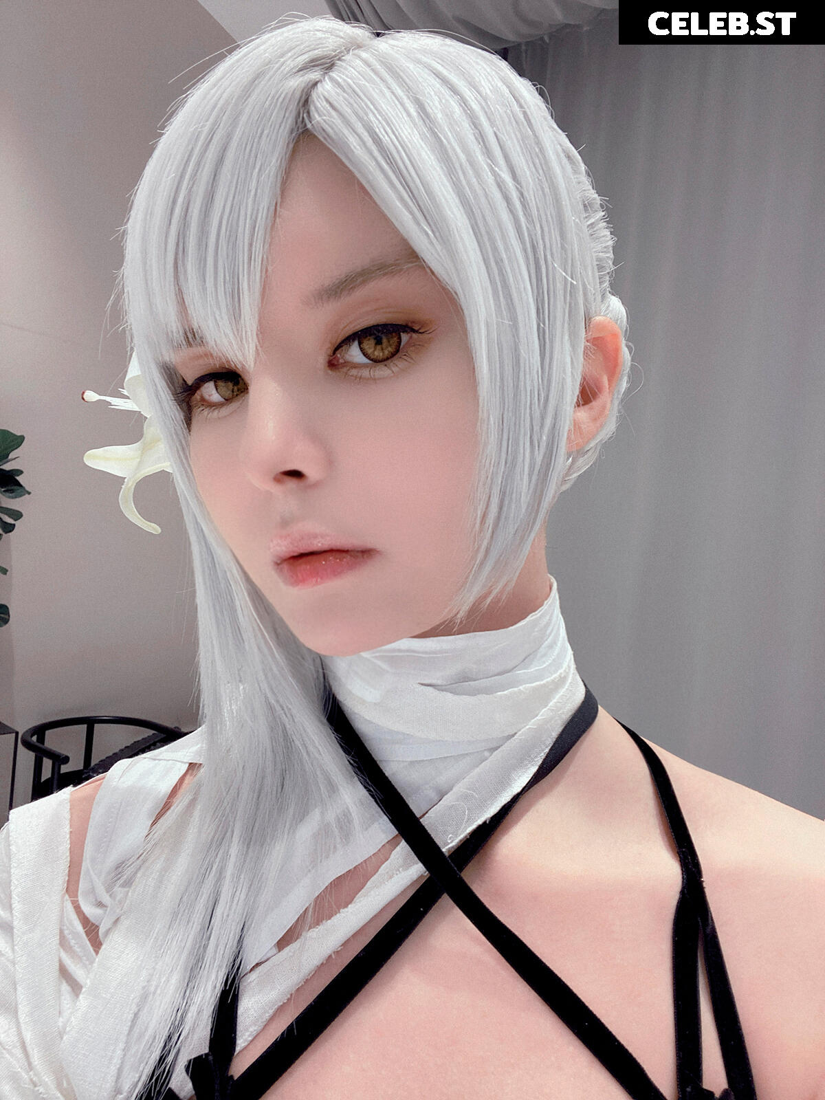 Vinnegal Image 2143179