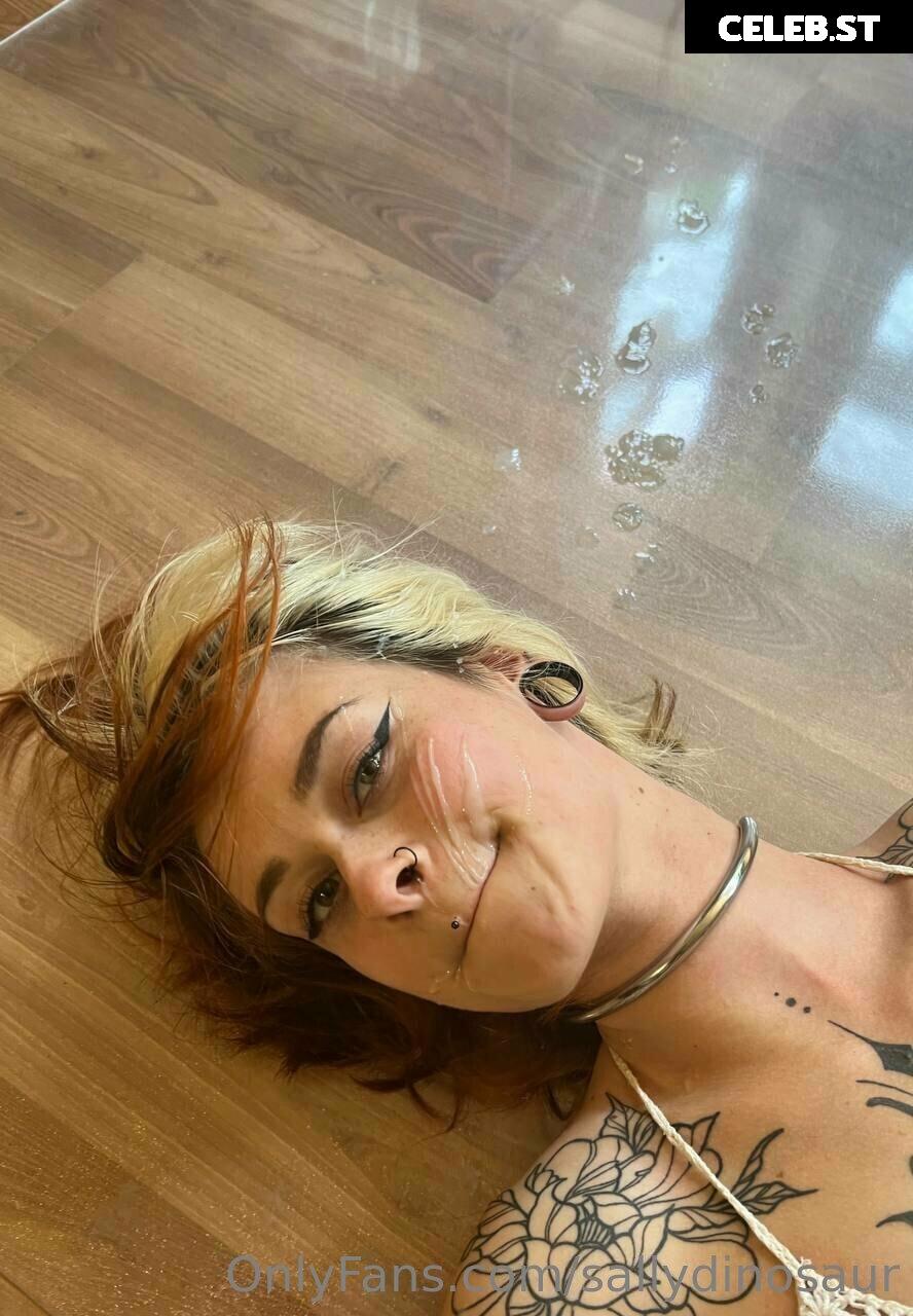 Sallydinosaur Image 2140142