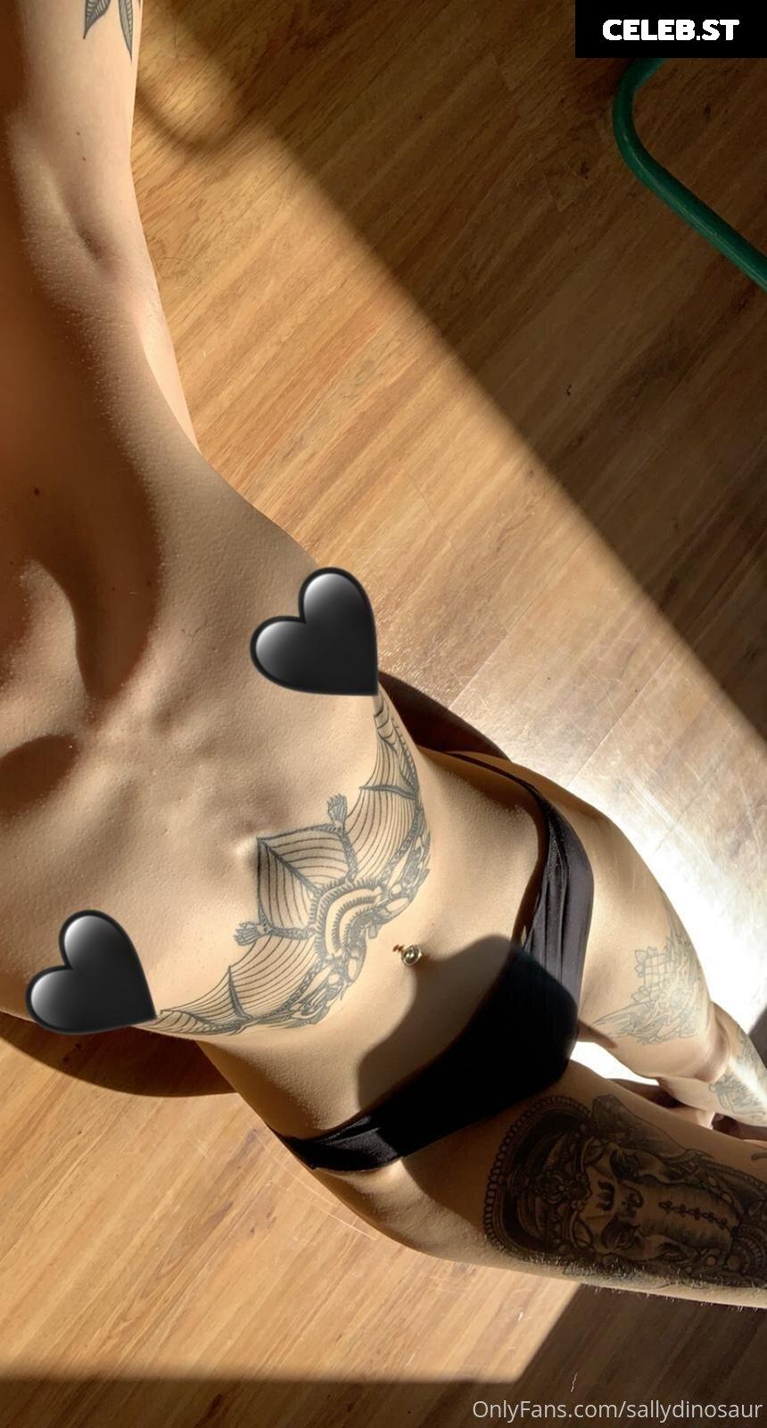 Sallydinosaur Image 2140011