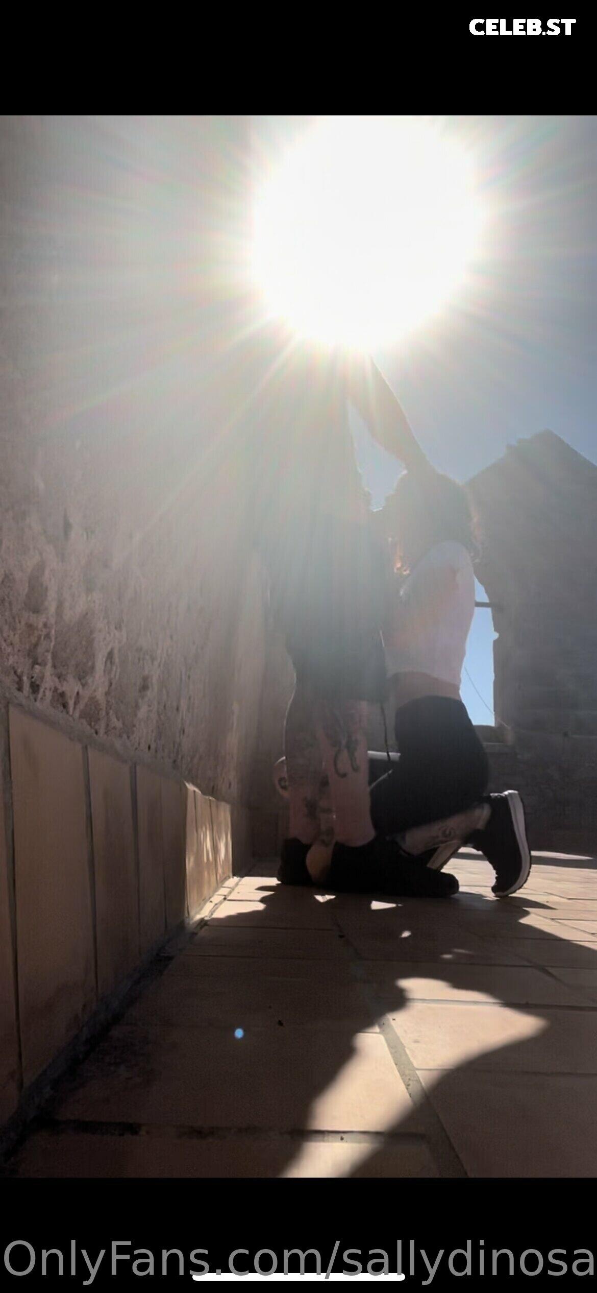 Sallydinosaur Image 2149769