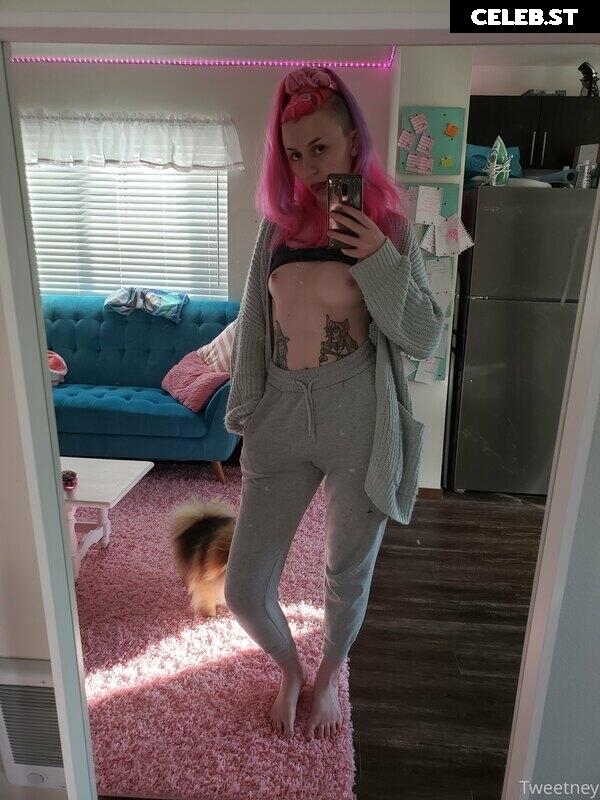 Tweetney Image 214939