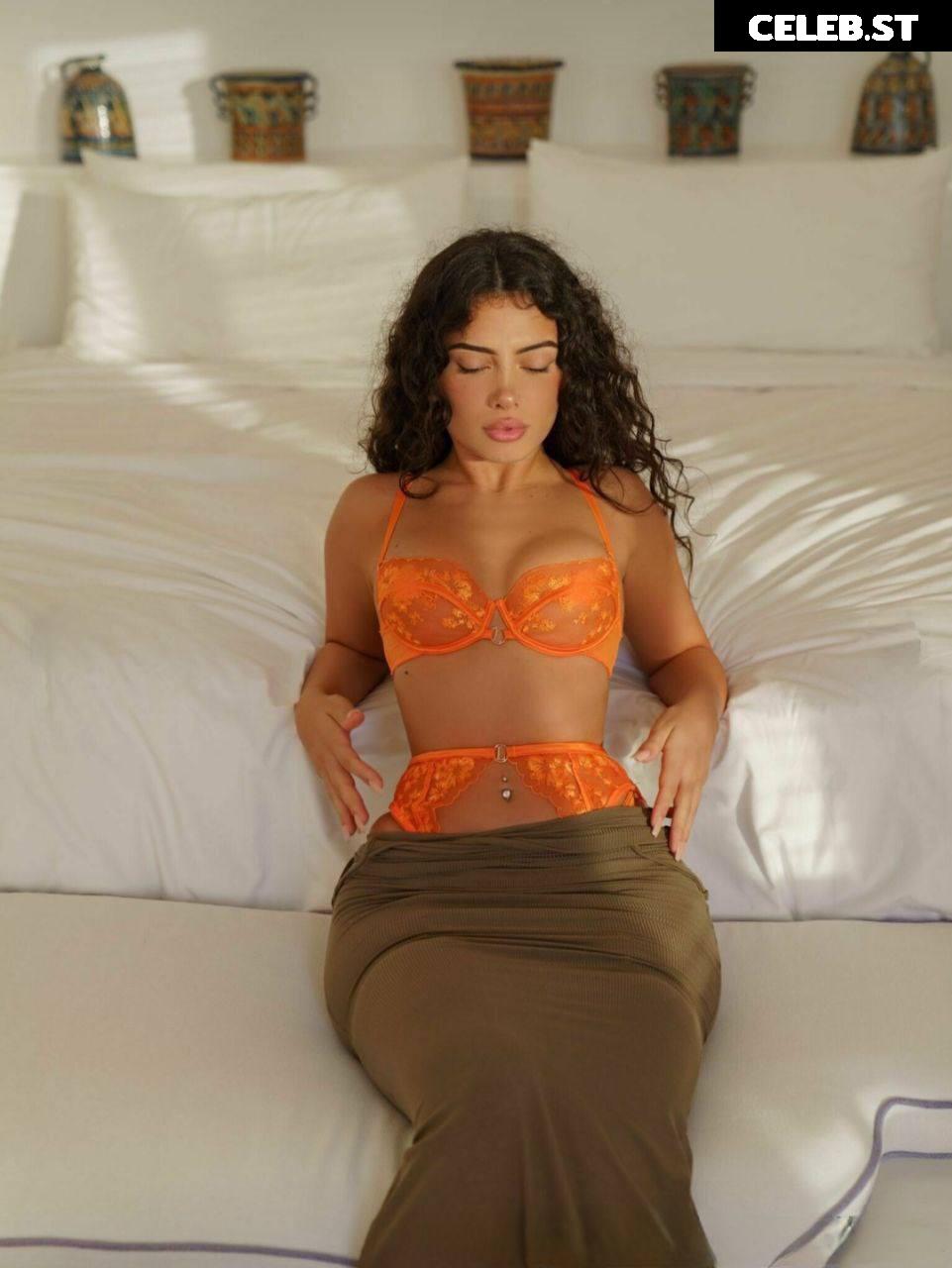 MelimTX Image 2148411