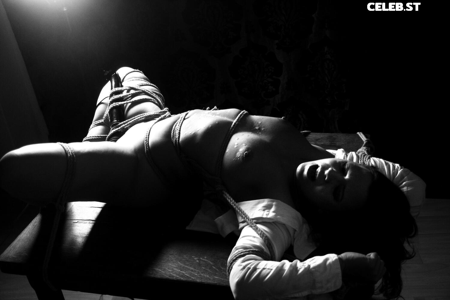 Calvato Photography - Patreon Image 2148795