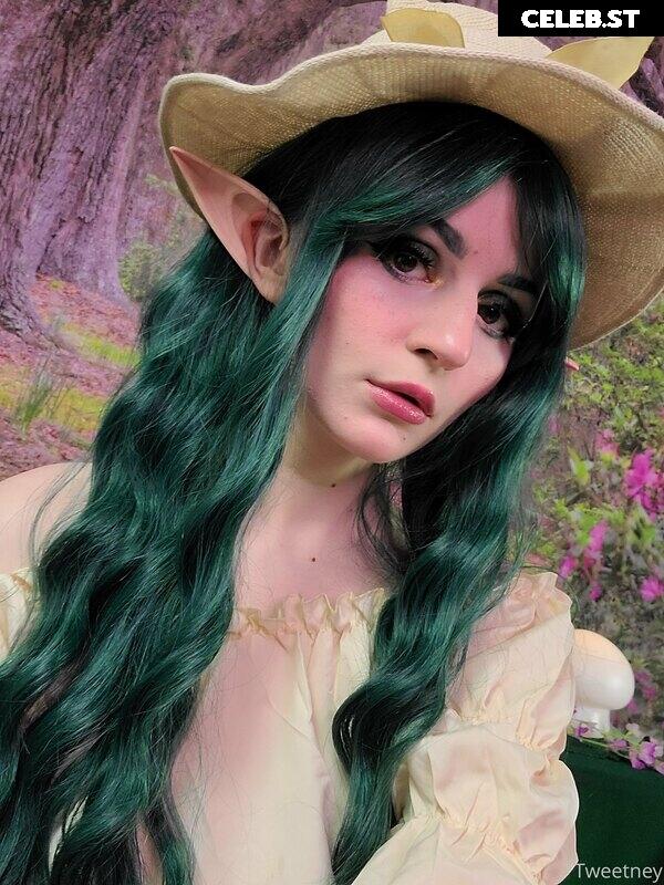 Tweetney Image 213695