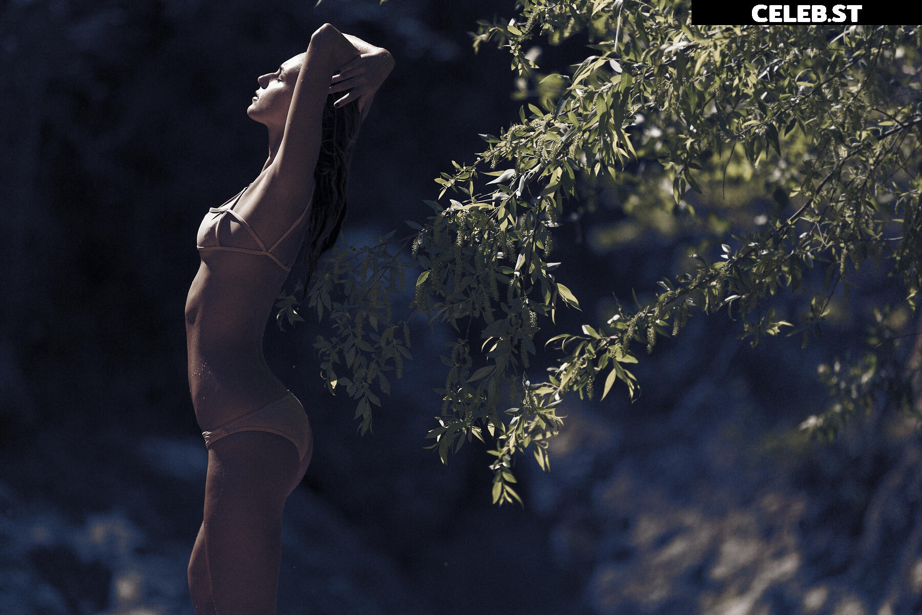 Amanda Pizziconi Image 2133547