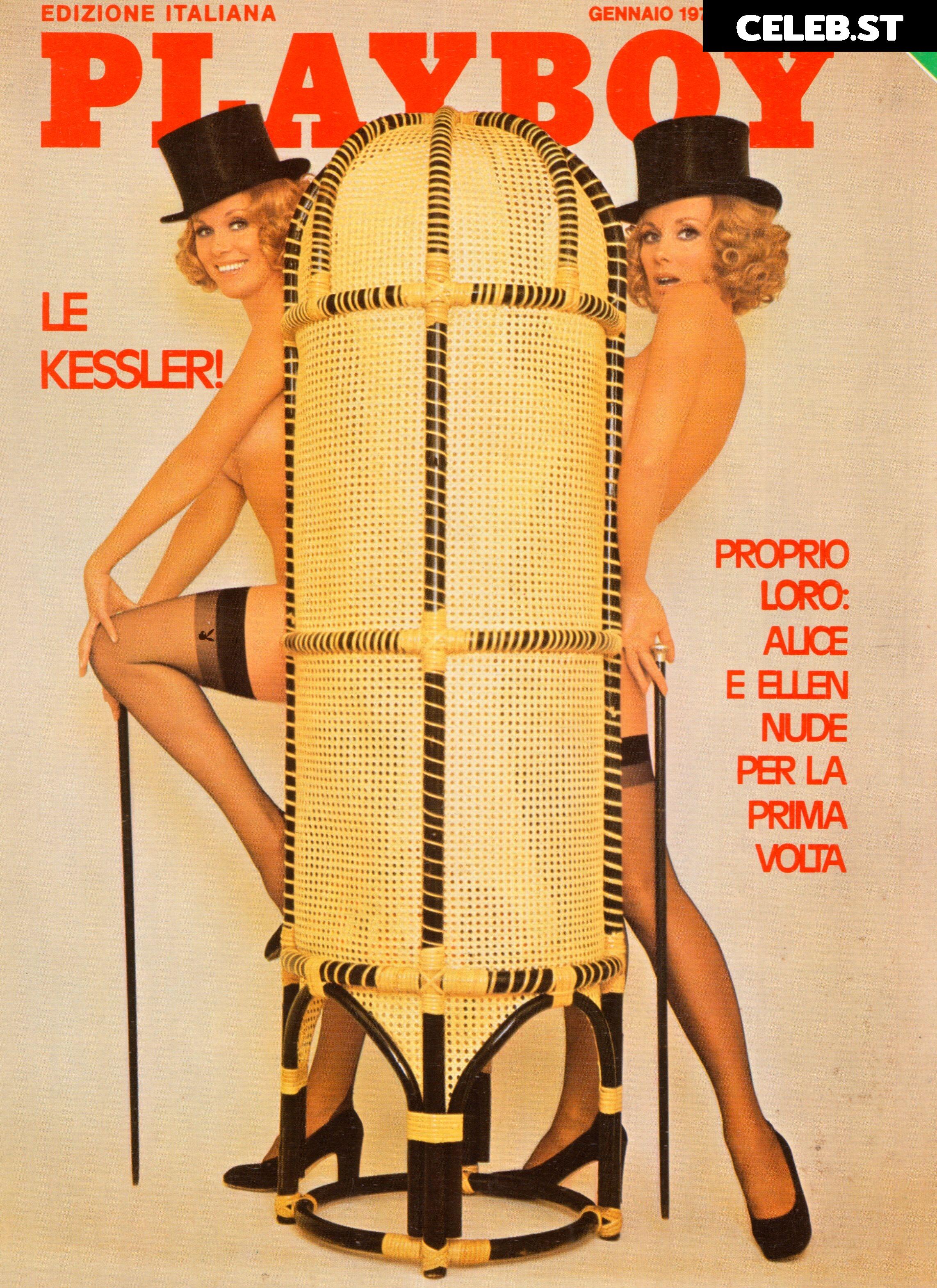 Kessler-Zwillinge Image 2133410