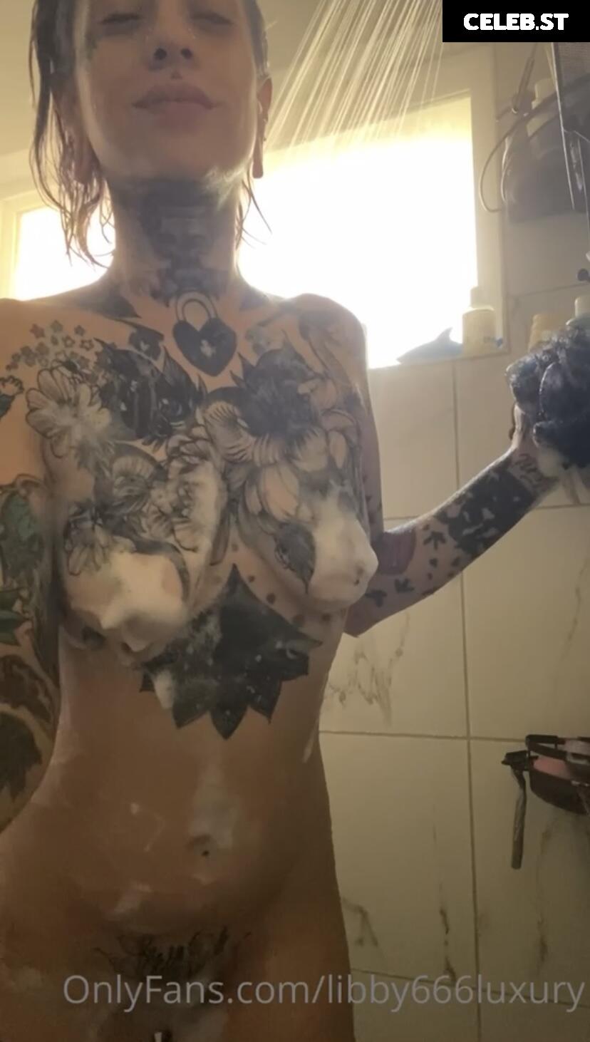 Libby Lux Image 2139179