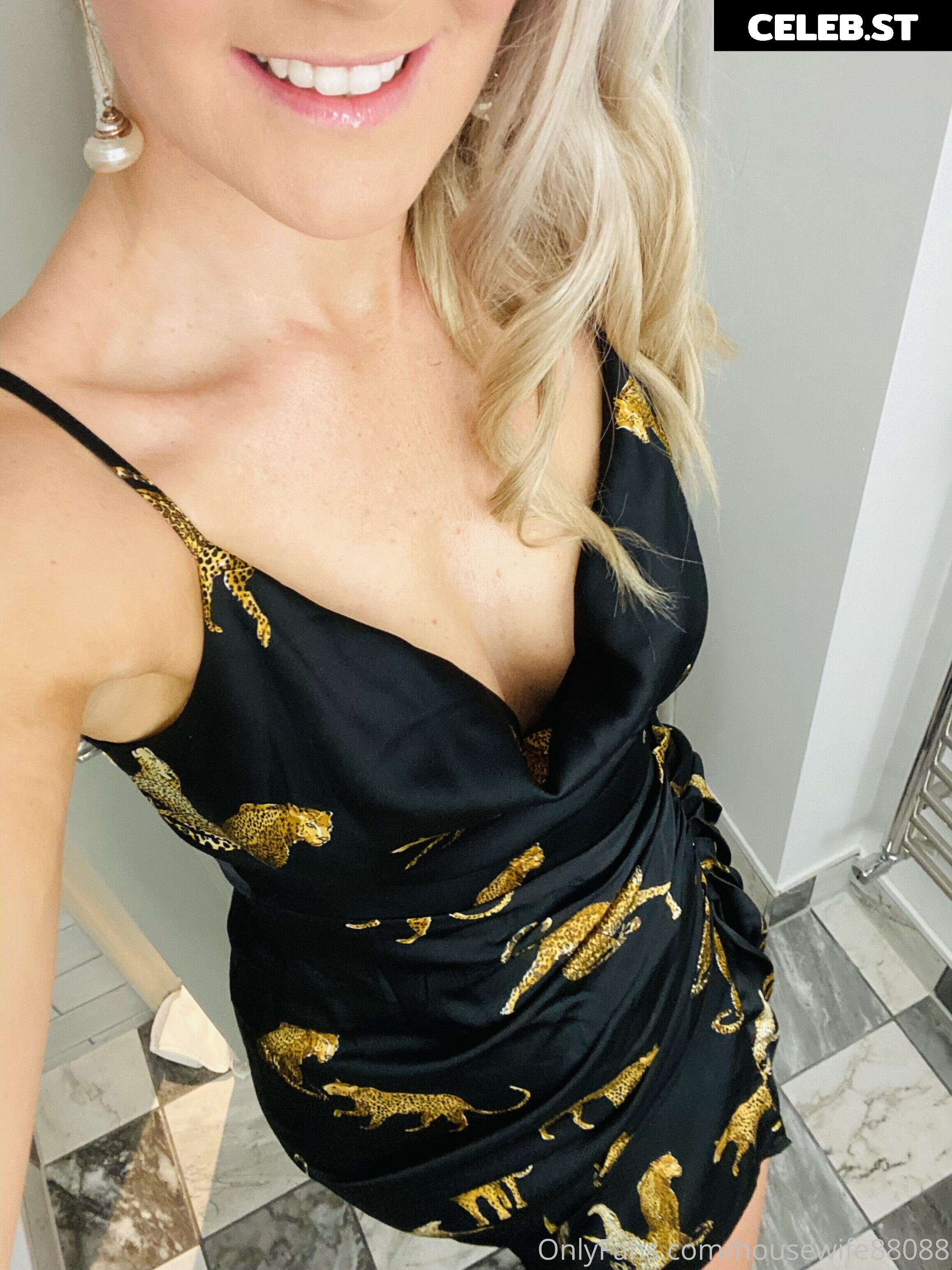 housewife88088 Image 21390813