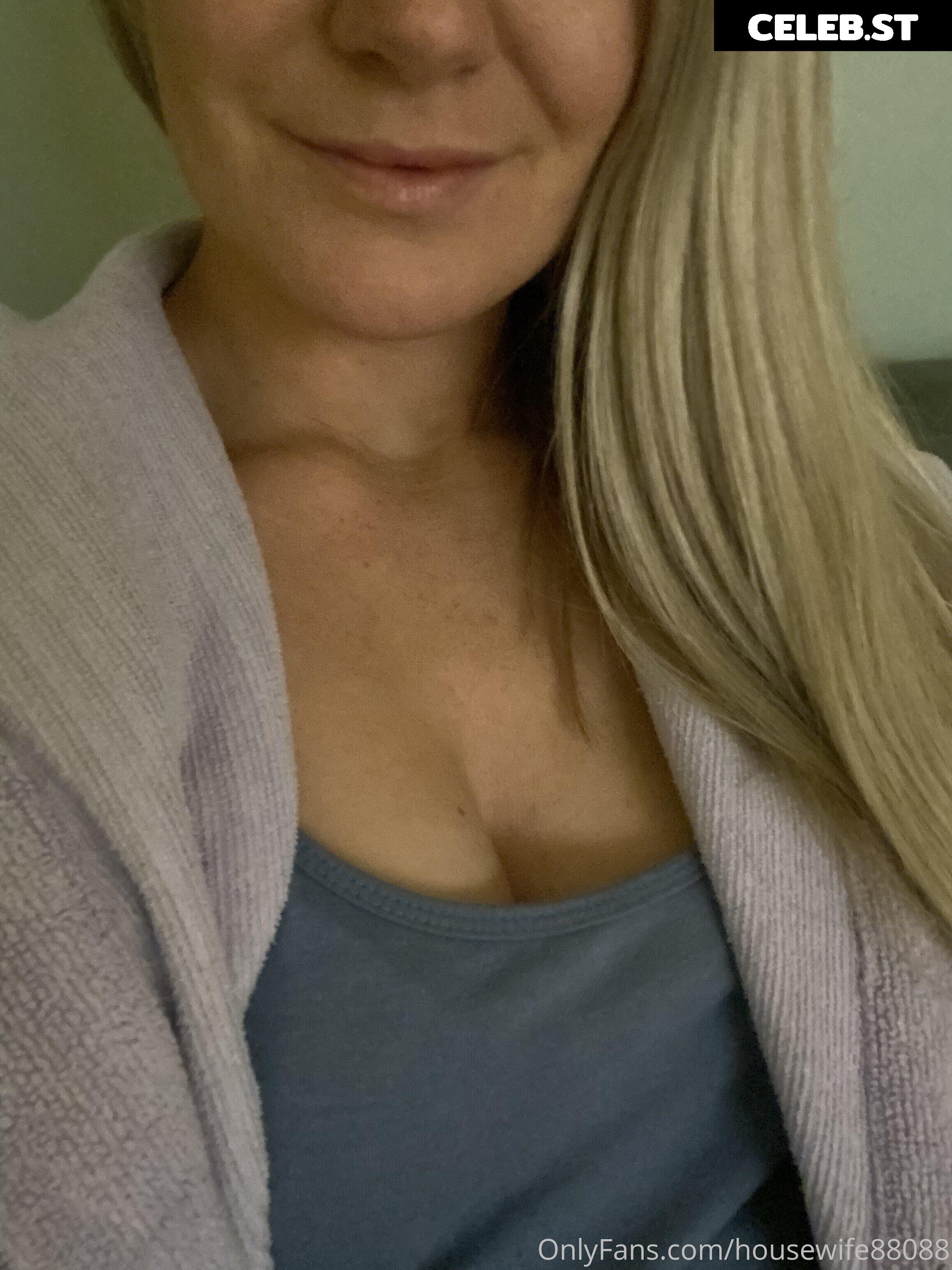 housewife88088 Image 21390786