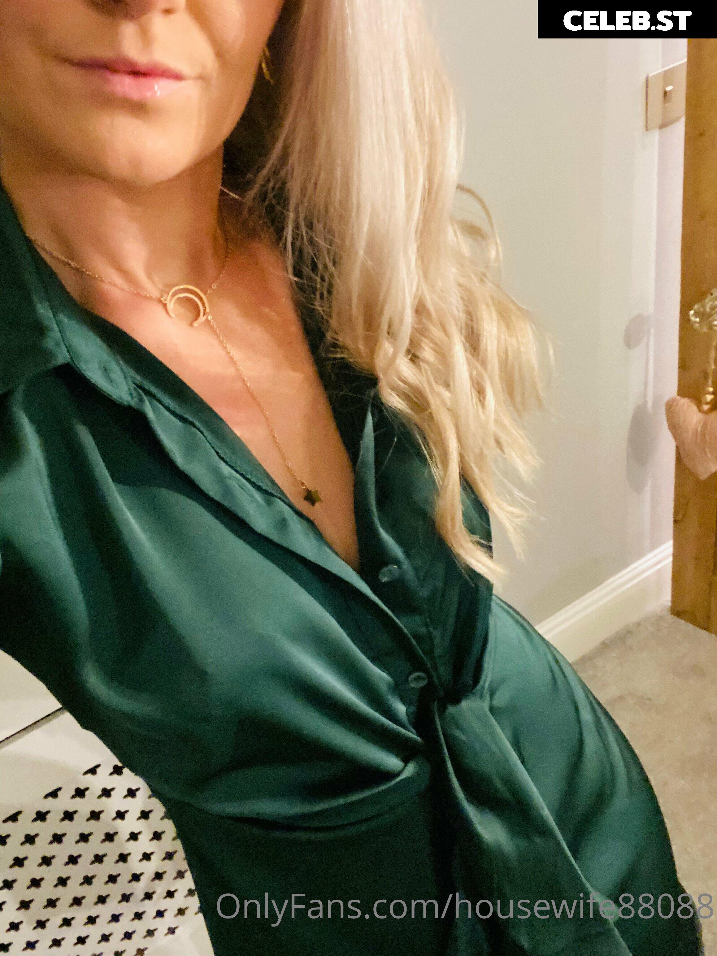 housewife88088 Image 21390753