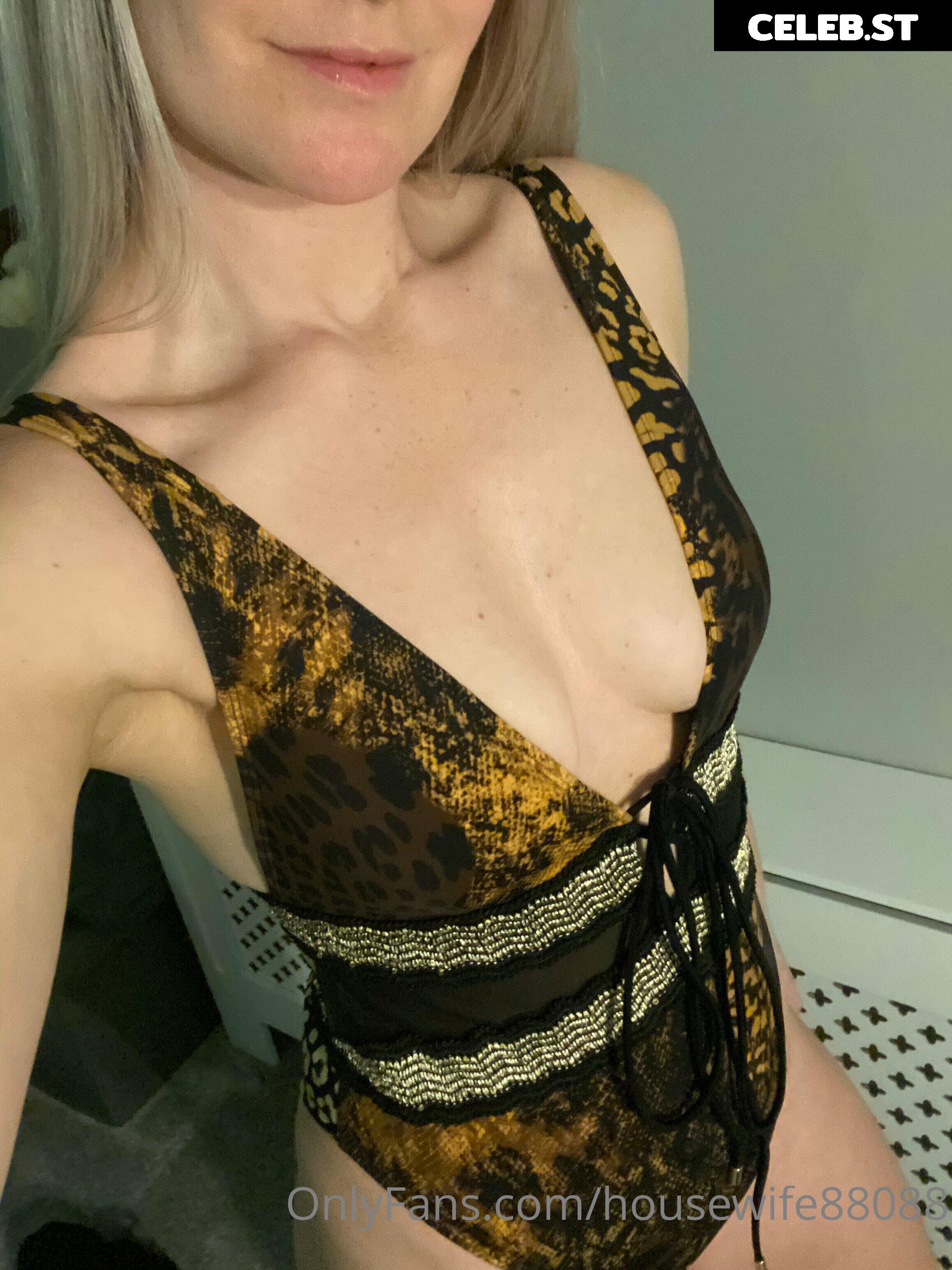 housewife88088 Image 21390755