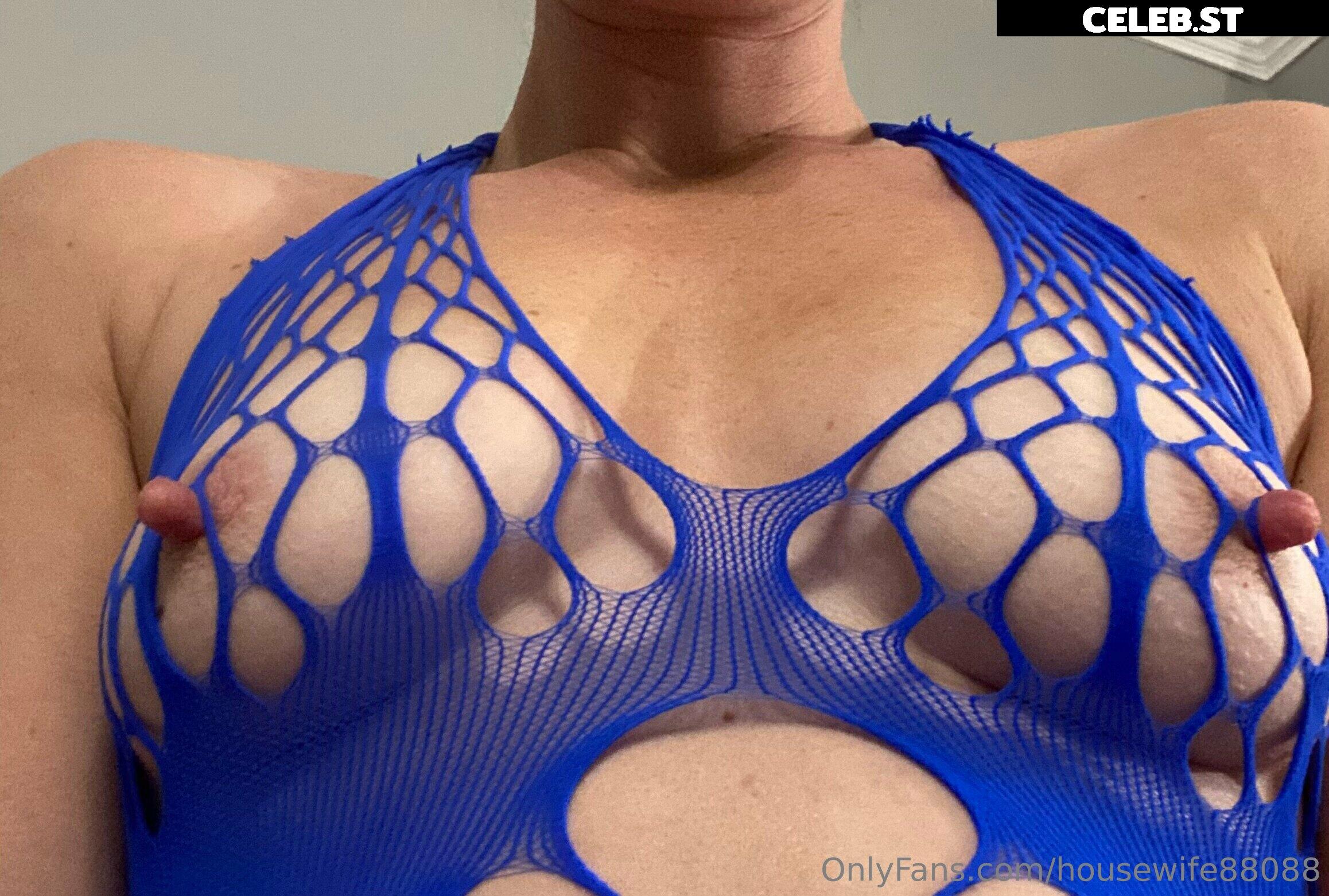housewife88088 Image 21390651