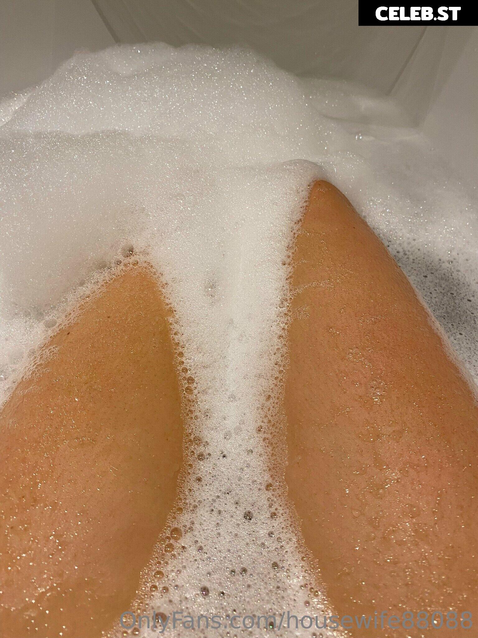 housewife88088 Image 21390654
