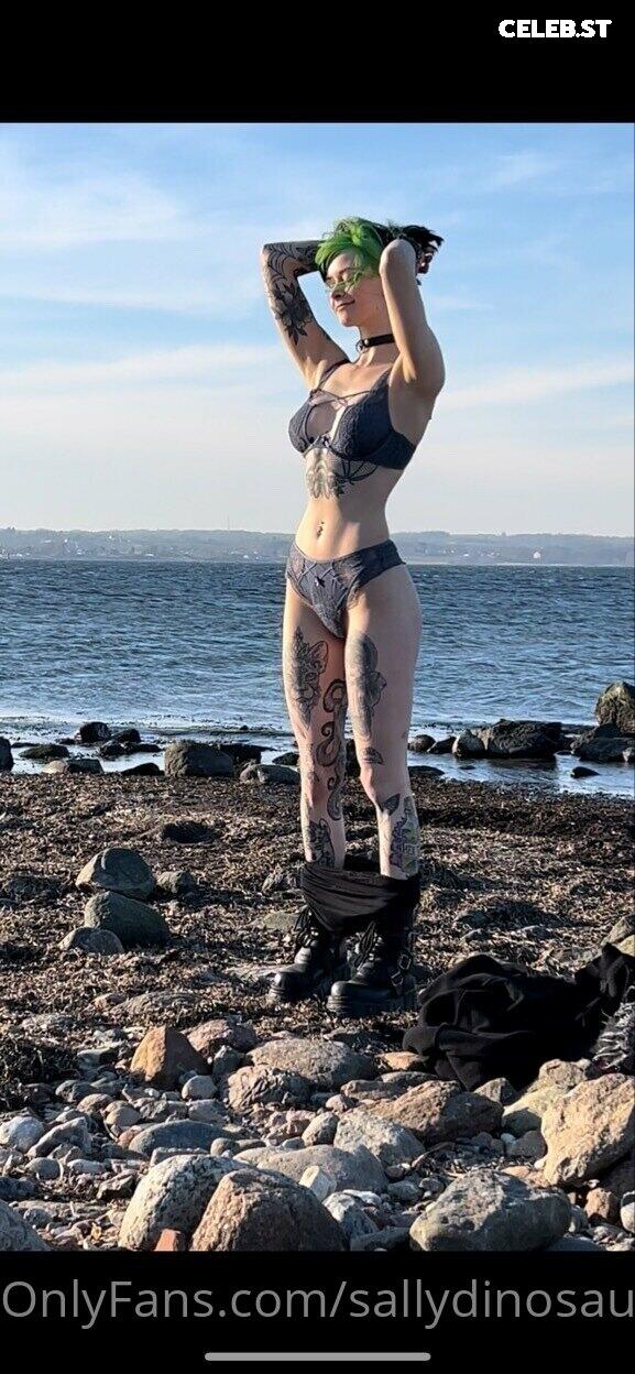 Sallydinosaur Image 2138907