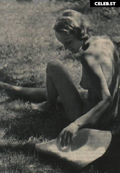 Marlene Dietrich Image 2126529