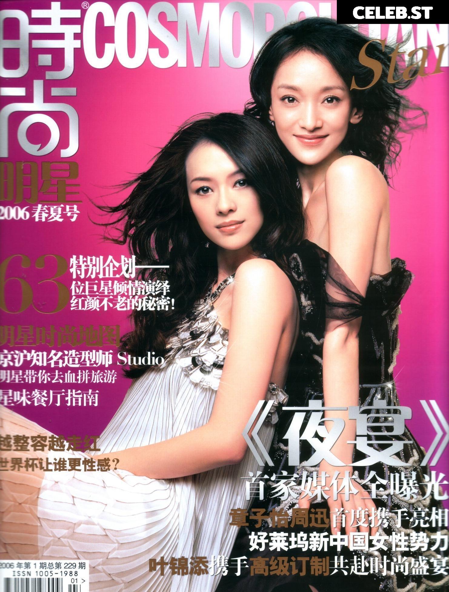 Ziyi Zhang Image 2124475