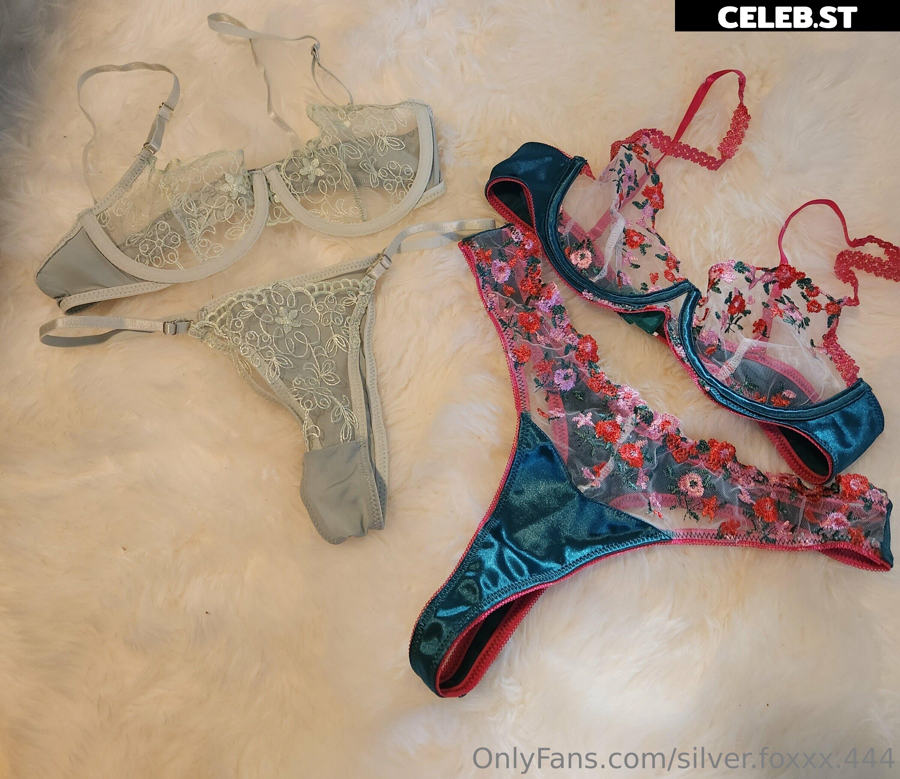 silver.foxxx.444 Image 21229888