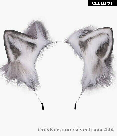 silver.foxxx.444 Image 21229791