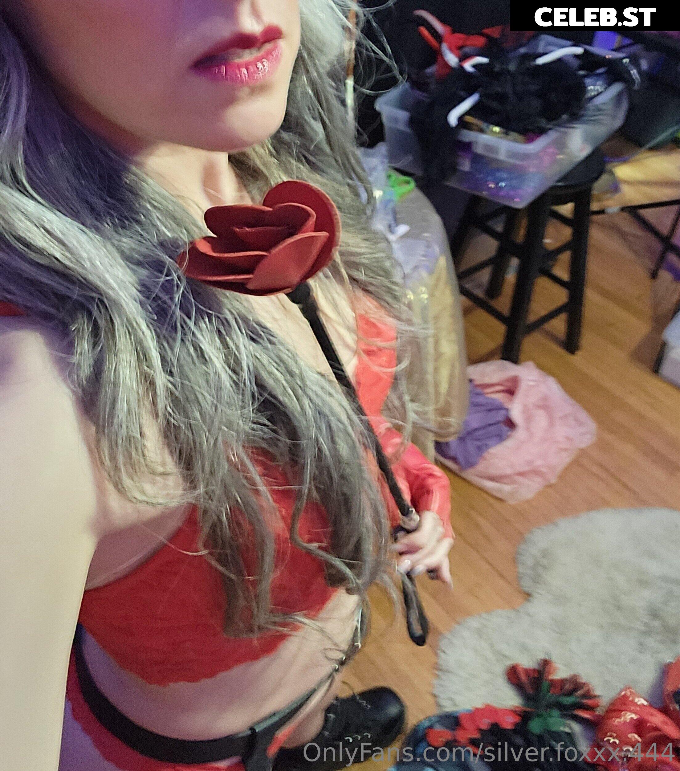 silver.foxxx.444 Image 21229664