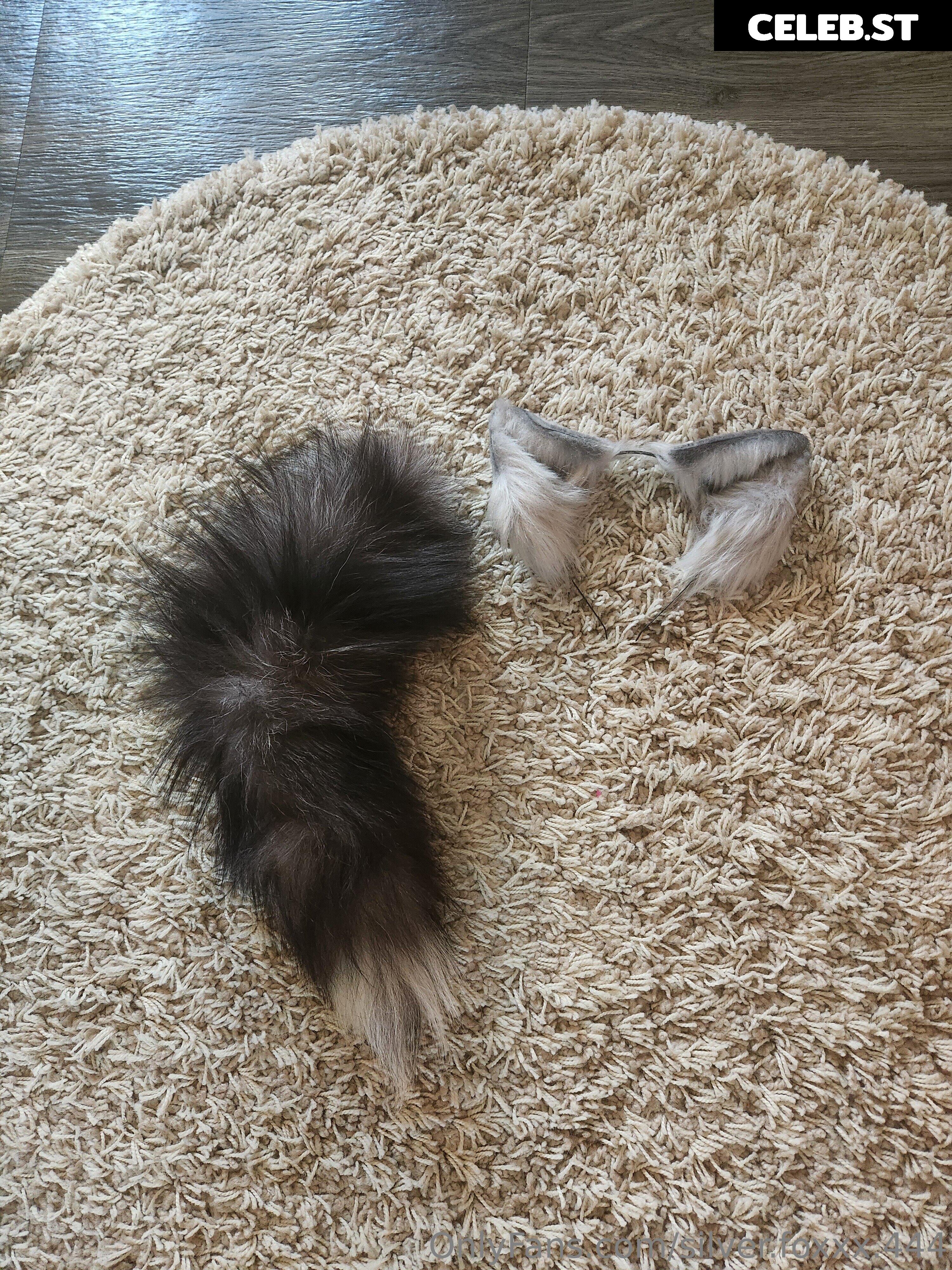 silver.foxxx.444 Image 21229645