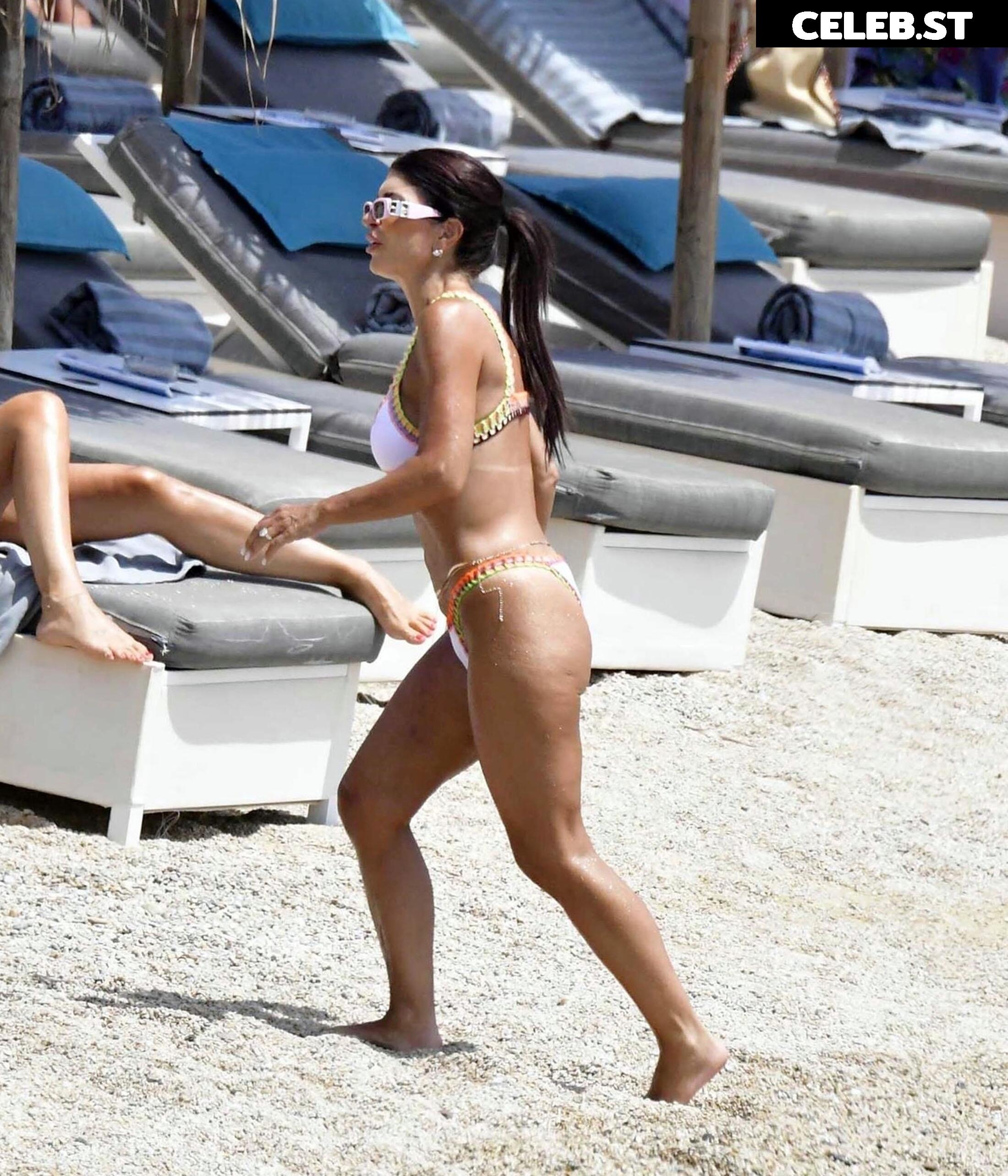 Teresa Giudice Image 2117752