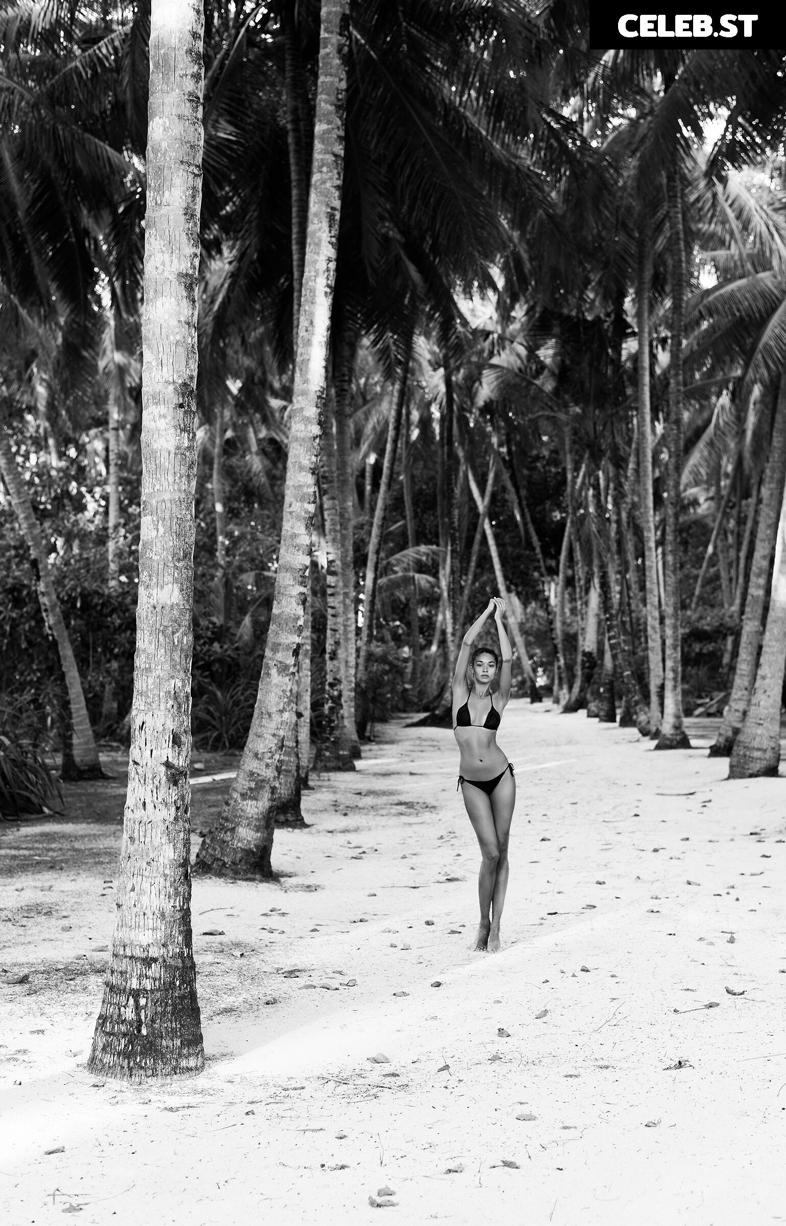 Anelia Moor Image 2107502