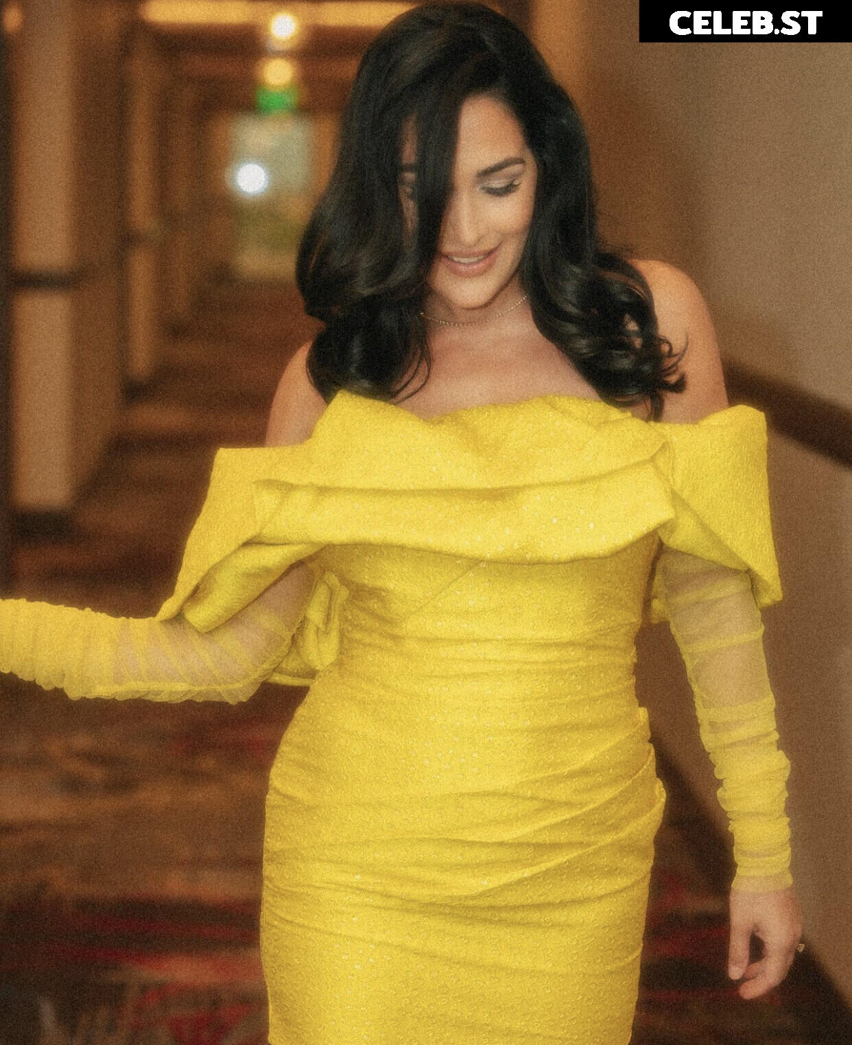 Brie Bella Image 2104299