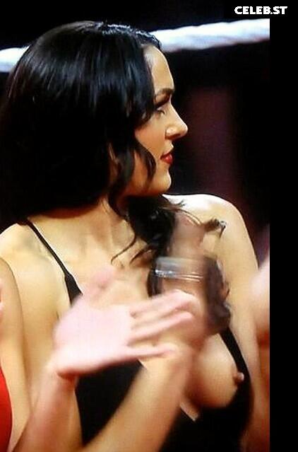 Brie Bella Image 2104218