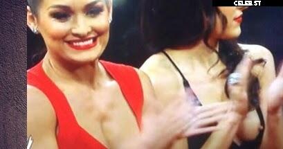 Brie Bella Image 2104205