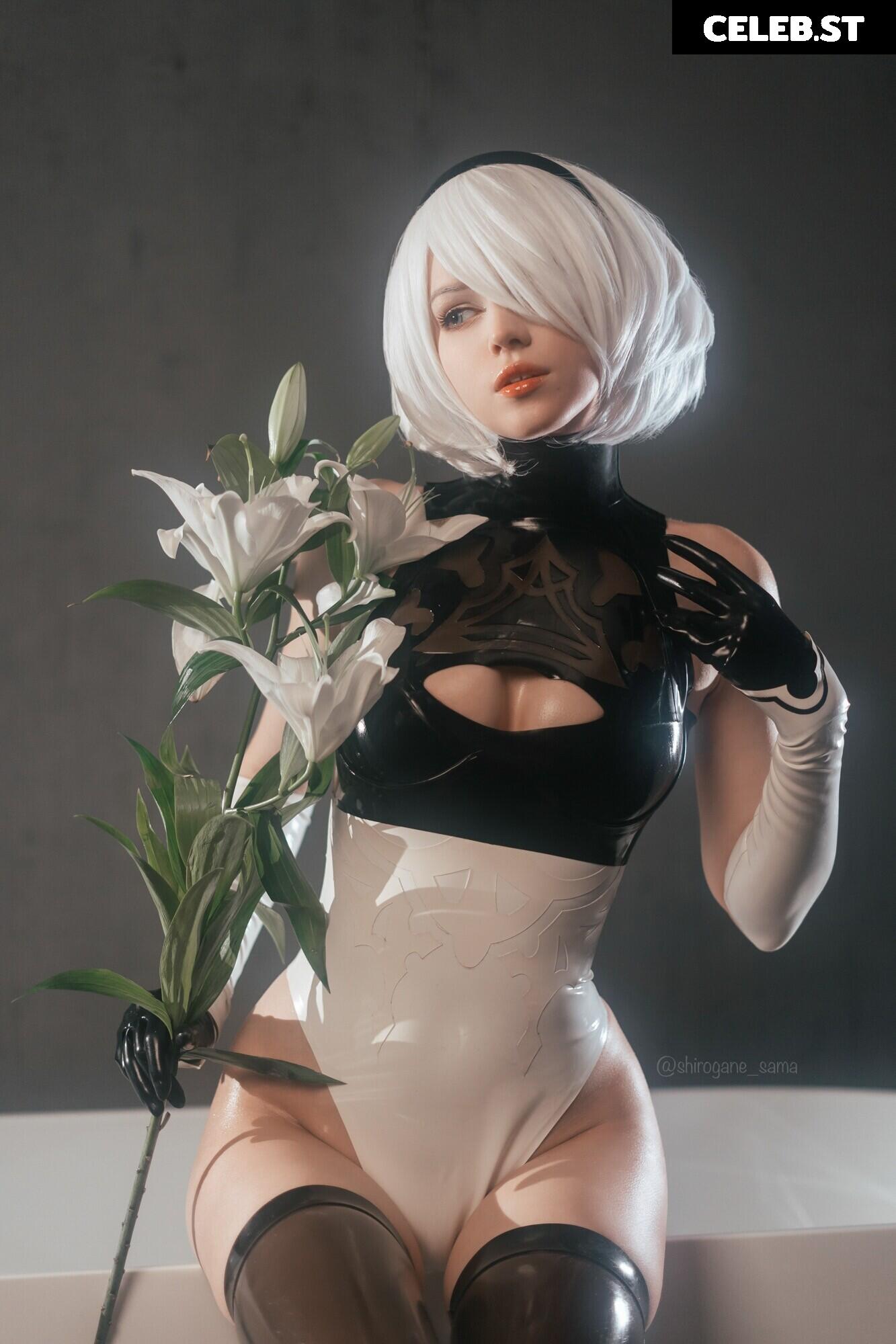 Shirogane-Sama Image 21011514