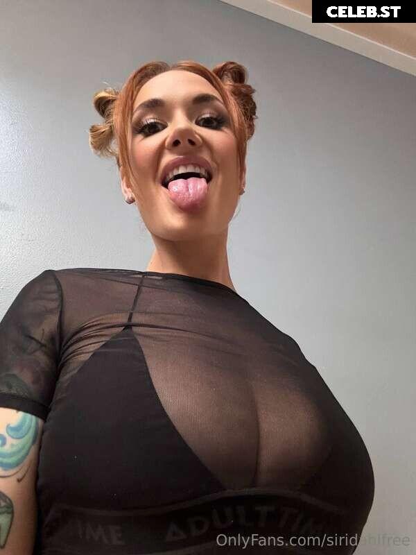 Siri Dahl Image 21028874