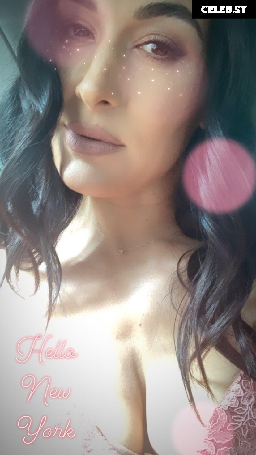 Brie Bella Image 2103400