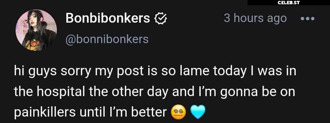 Bonbibonkers Image 21002335