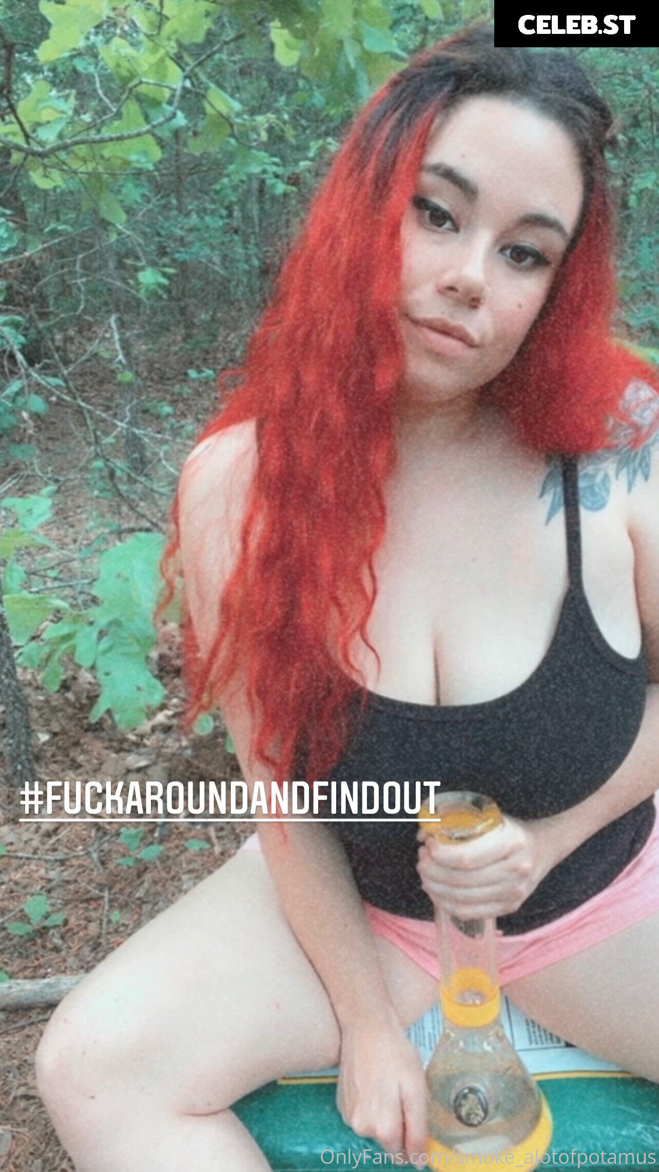 smoke_alotofpotamus Image 21094796
