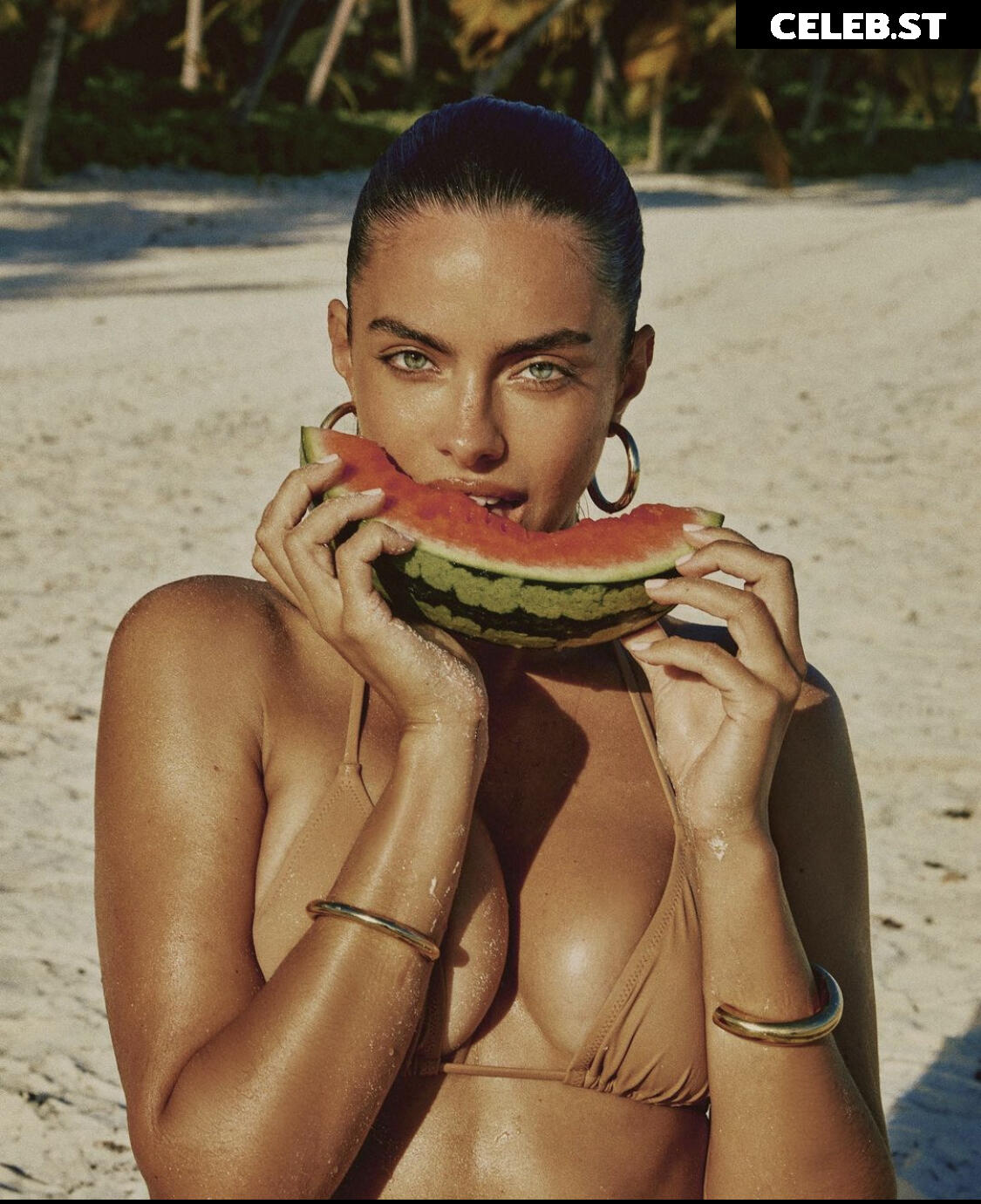 Priscilla Huggins Ortiz Image 2108705