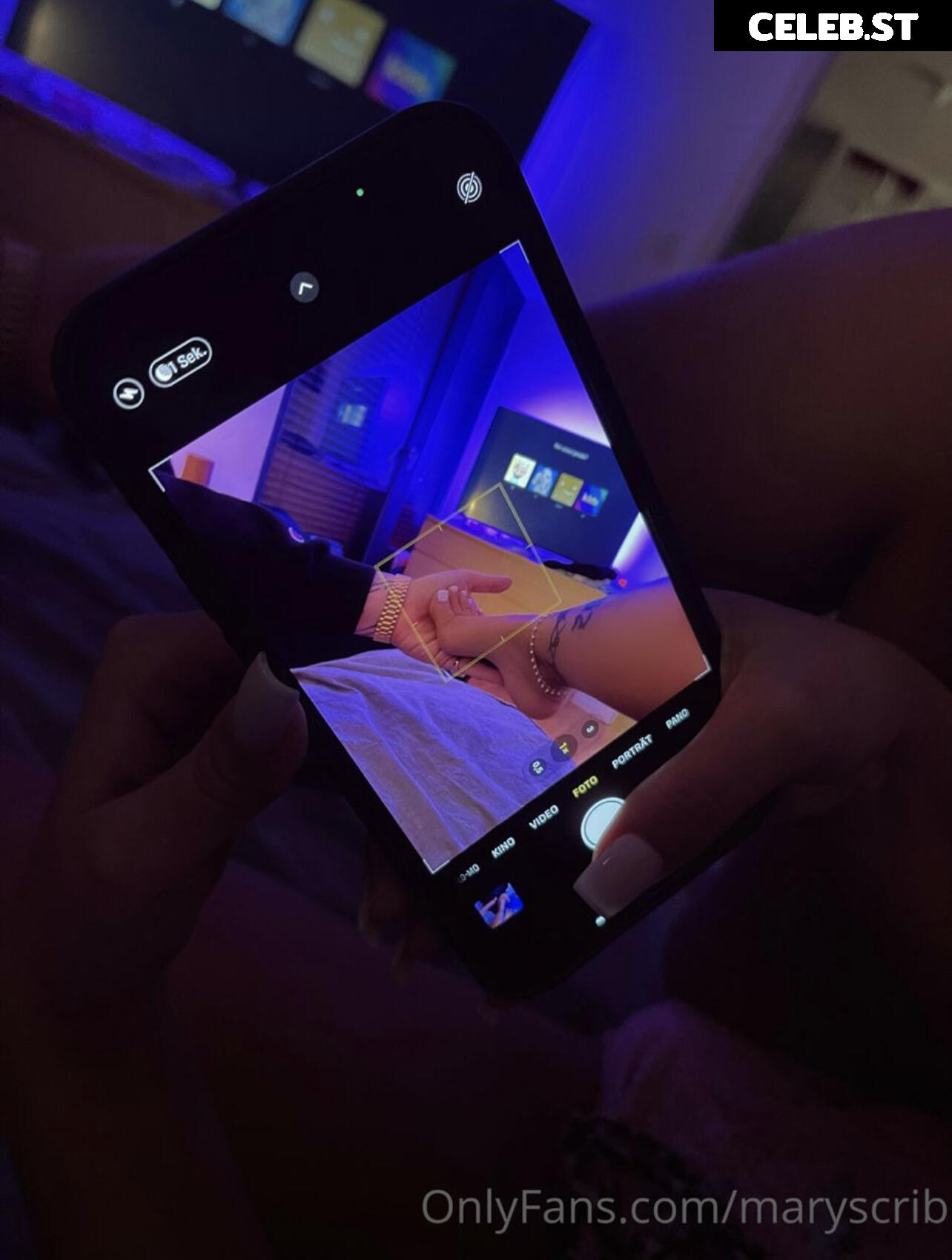 Maryscrib Image 2295879